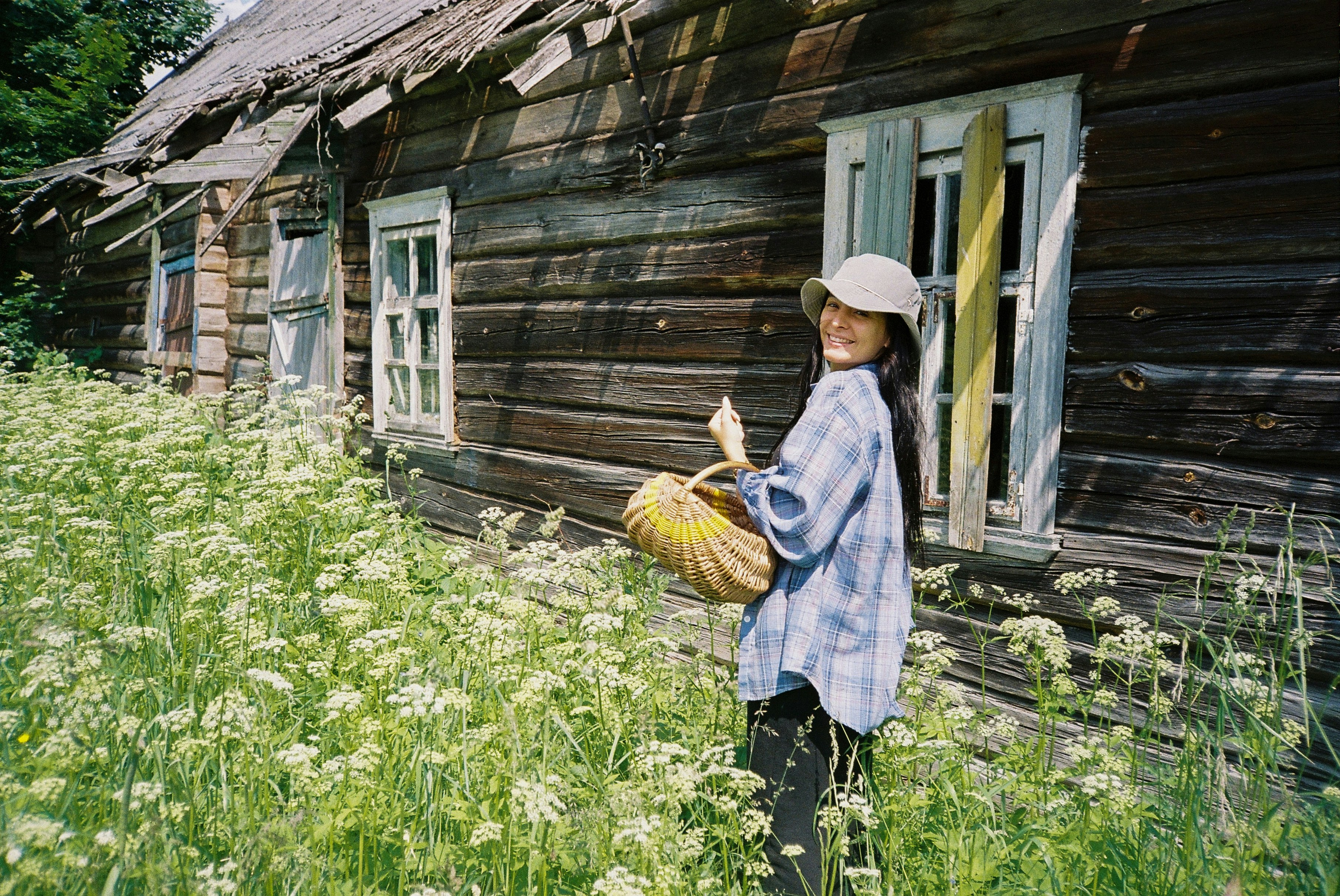 pexels-brett-sayles-2479312